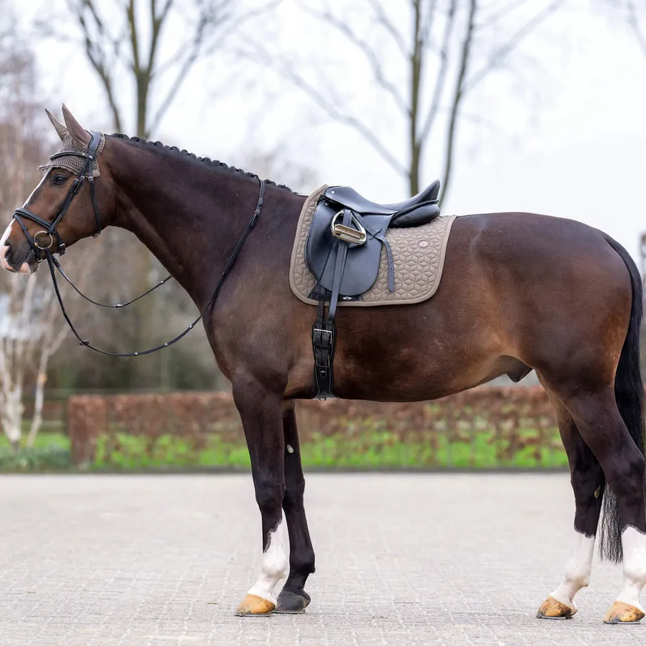 HV POLO Schabracke HVPEssential Dressur