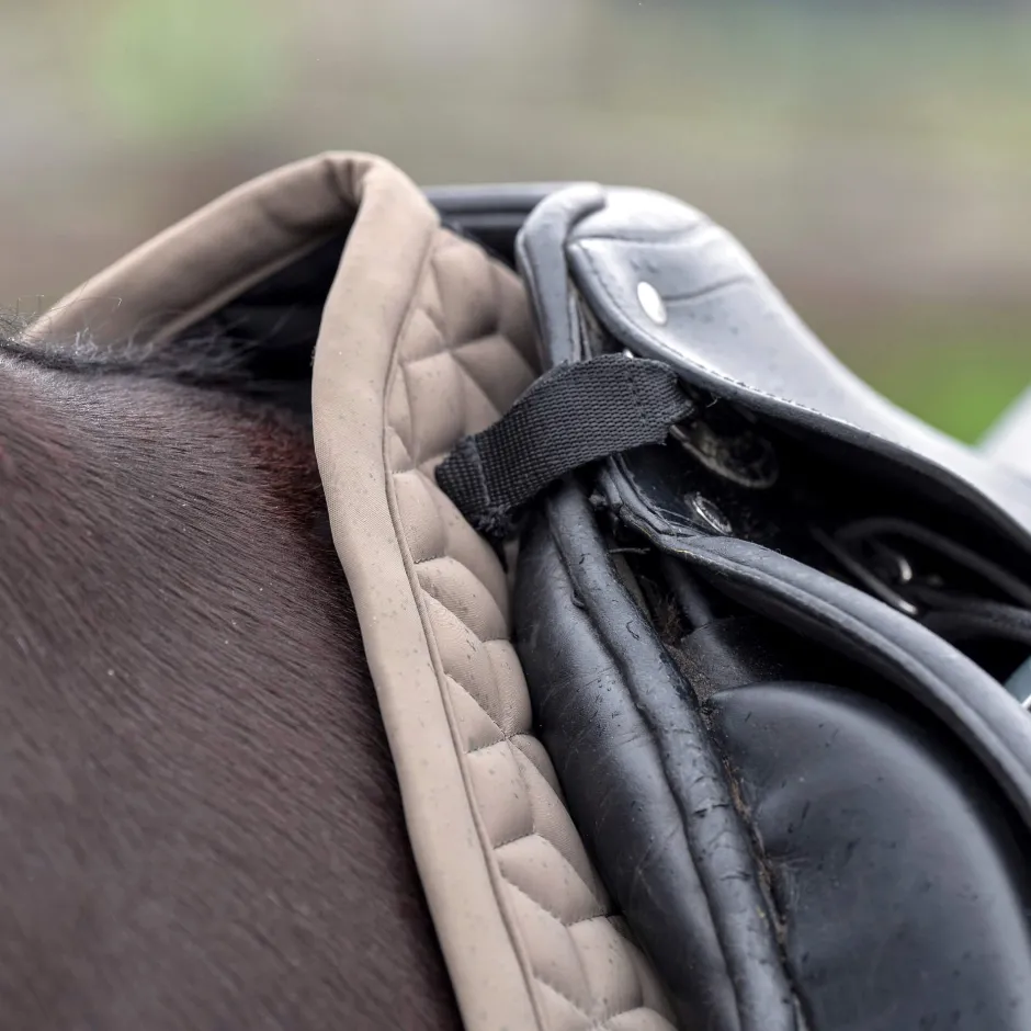 HV POLO Schabracke HVPEssential Dressur