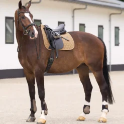 HV POLO Schabracke HVPEssential Dressur