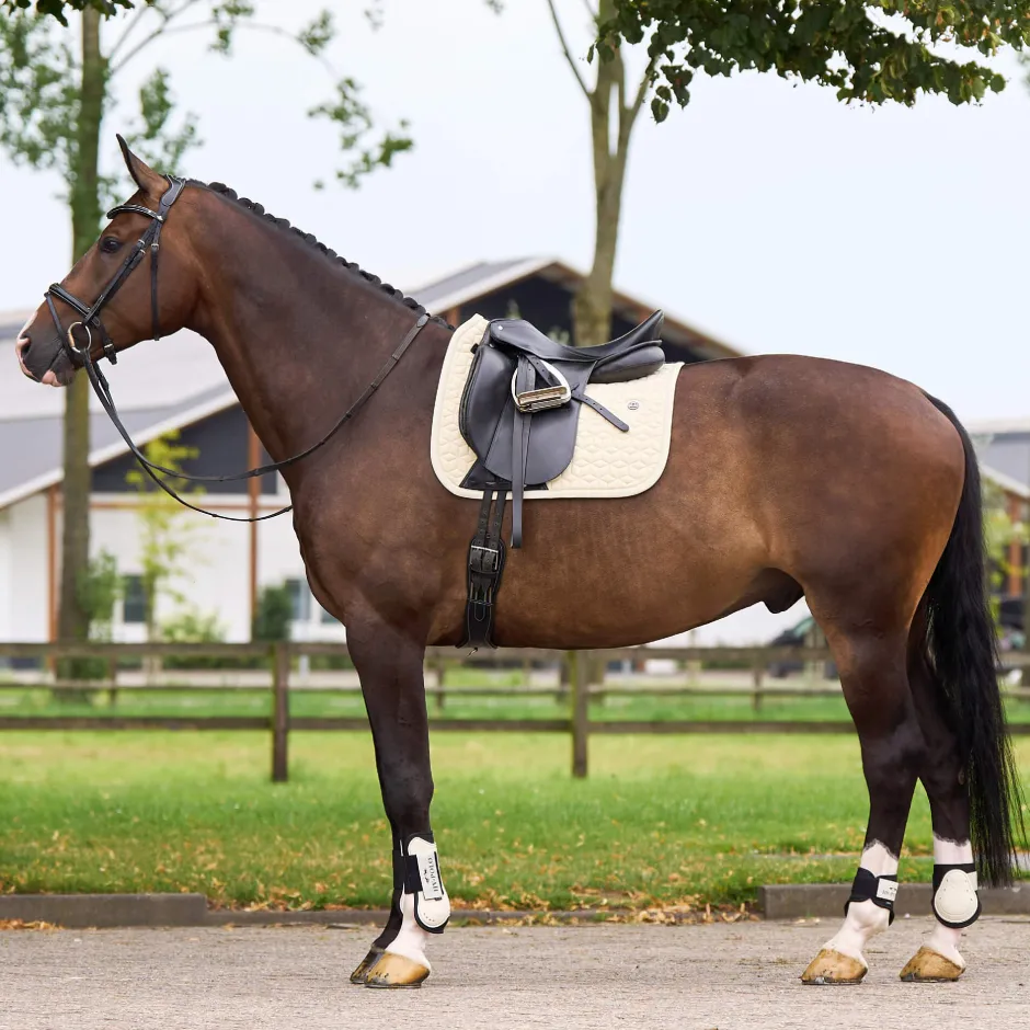 HV POLO Schabracke HVPEssential Dressur