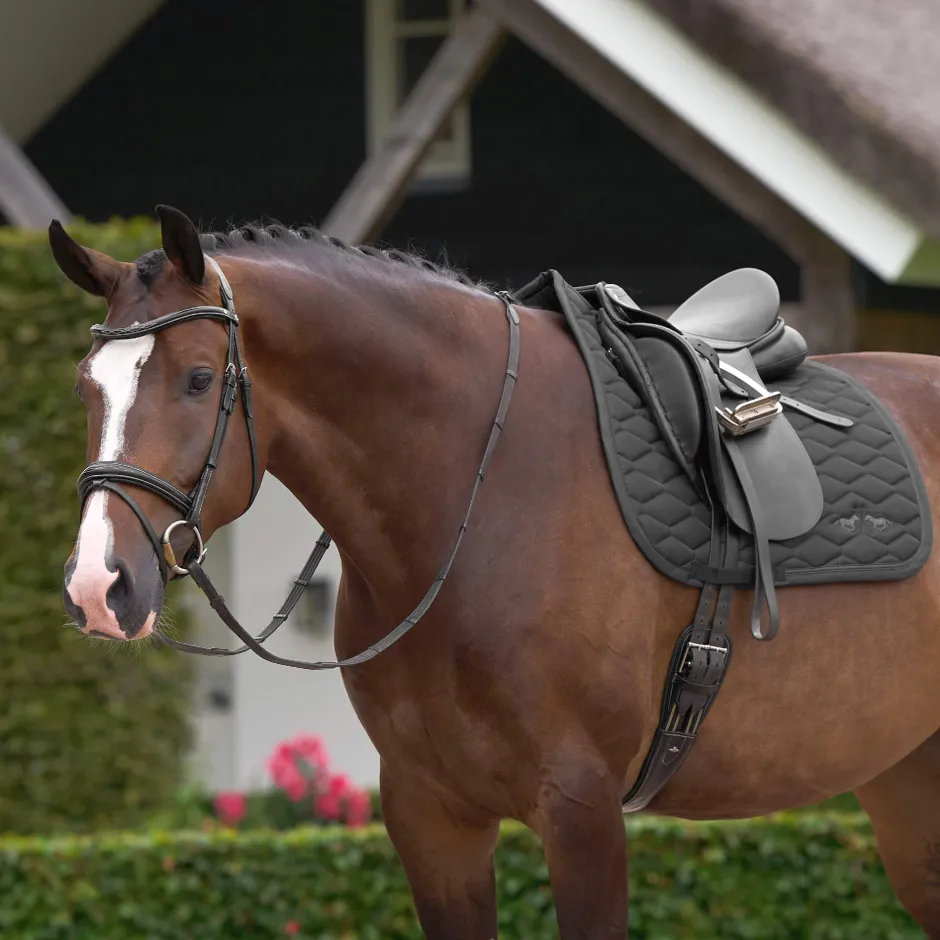 HV POLO Schabracke HVPJoan Dressur