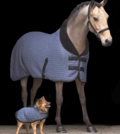 HV POLO Stalldecke HVPFranka