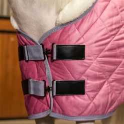 HV POLO Stalldecke HVPSacha