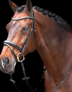 HV POLO Trense HVPLegacy