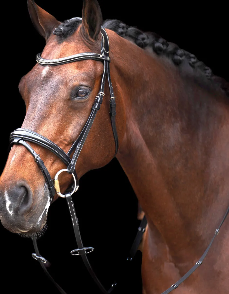 HV POLO Trense HVPLegacy