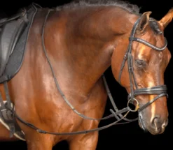 IMPERIAL RIDING Ausbinder Leder IRHCore