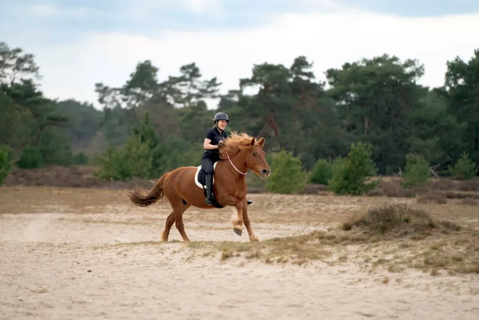IMPERIAL RIDING Bareback-Pad IRHFree ride