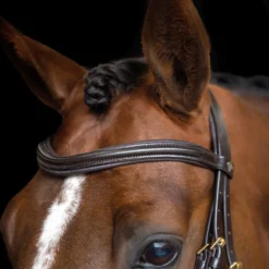 IMPERIAL RIDING Englisches Zaumzeug IRH kombiniert Sleek