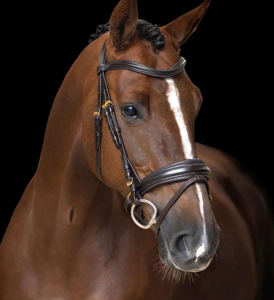 IMPERIAL RIDING Englisches Zaumzeug IRH kombiniert Sleek