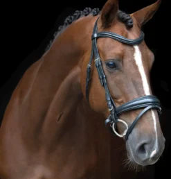 IMPERIAL RIDING Englisches Zaumzeug IRH kombiniert Sleek