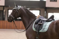 IMPERIAL RIDING Fliegenhaube IRHLovely