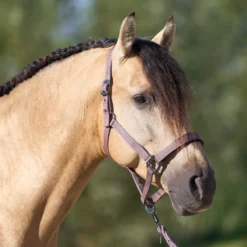 IMPERIAL RIDING Halfter IRHClassic Sport