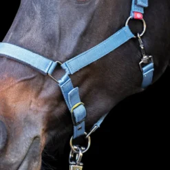 IMPERIAL RIDING Halfter Yearling IRH
