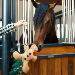 IMPERIAL RIDING IRHStable buddy Gingerbread man
