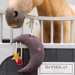 IMPERIAL RIDING IRHStable buddy Moony