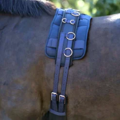 IMPERIAL RIDING Longiergurt IRHDeluxe Extra