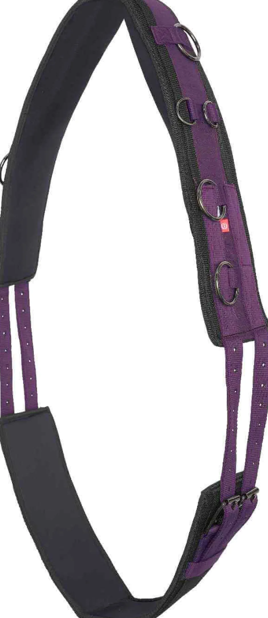 IMPERIAL RIDING Longiergurt IRHDeluxe Extra