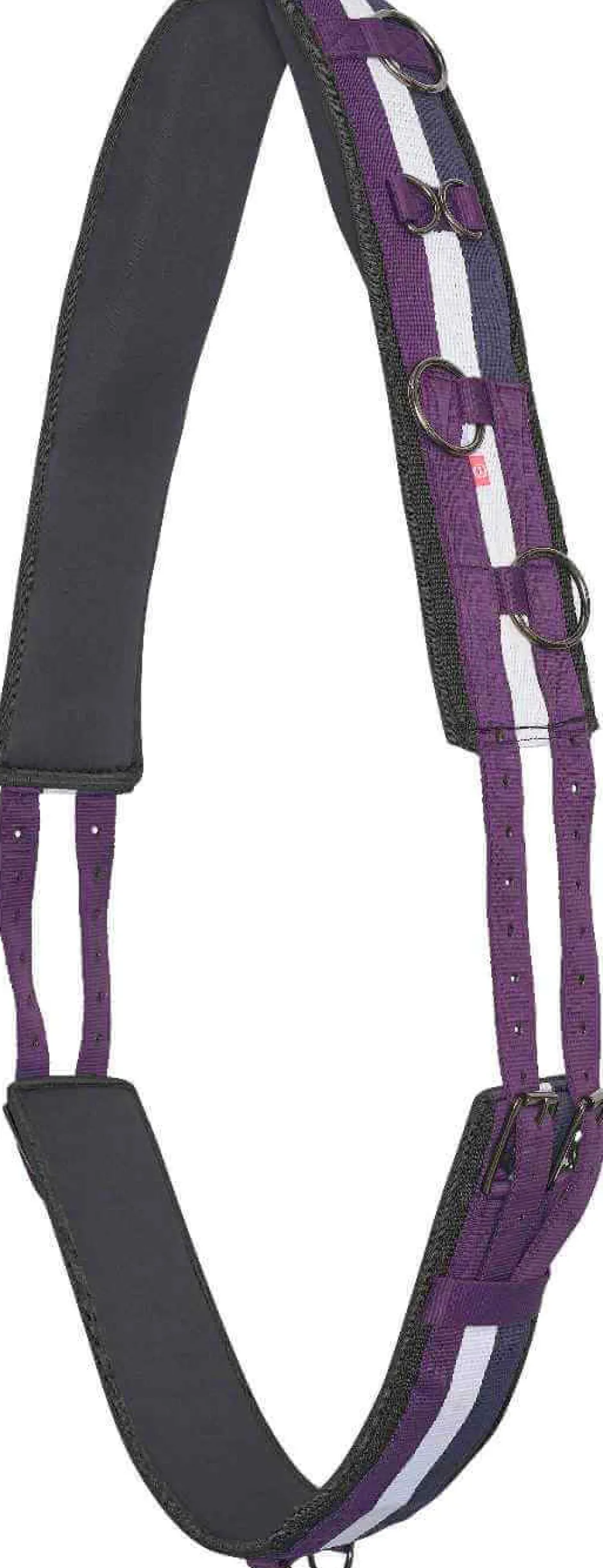 IMPERIAL RIDING Longiergurt IRHDeluxe Extra