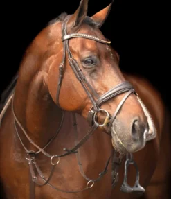 IMPERIAL RIDING Martingal IRHCore