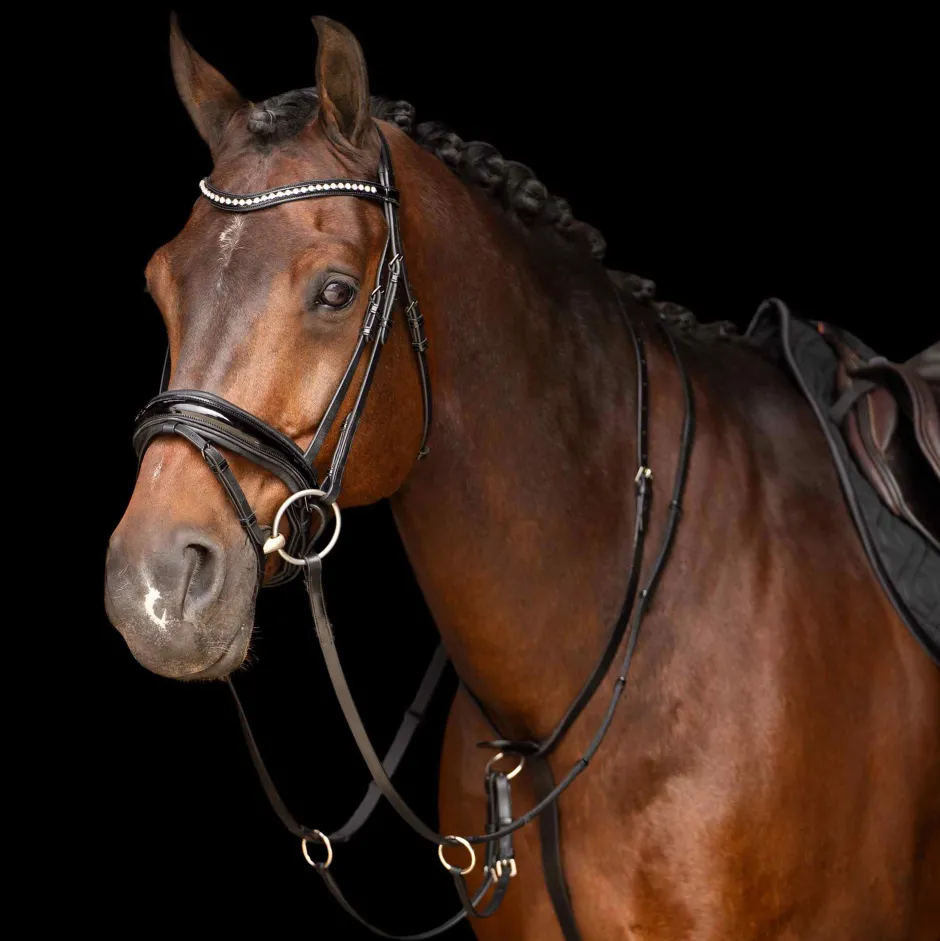 IMPERIAL RIDING Martingal IRHCore