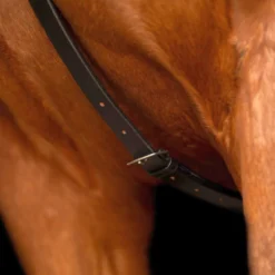 IMPERIAL RIDING Martingal IRHCore