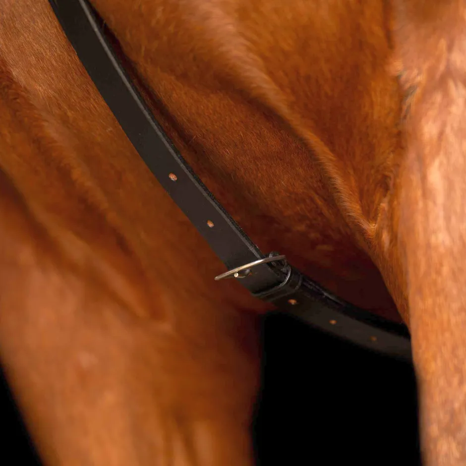 IMPERIAL RIDING Martingal IRHCore
