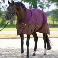 IMPERIAL RIDING Outdoordecke IRHCustomized mit hohem Halsteil Sommer