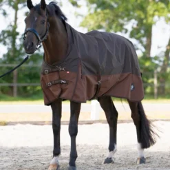 IMPERIAL RIDING Outdoordecke IRHCustomized mit hohem Halsteil Sommer