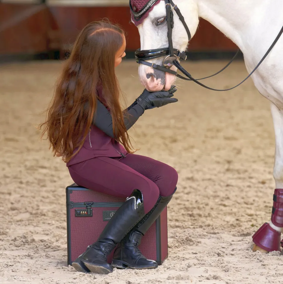 IMPERIAL RIDING Putzbox IRHShiny