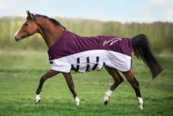 IMPERIAL RIDING Regen- & Fliegendecke IRHSuper-dry