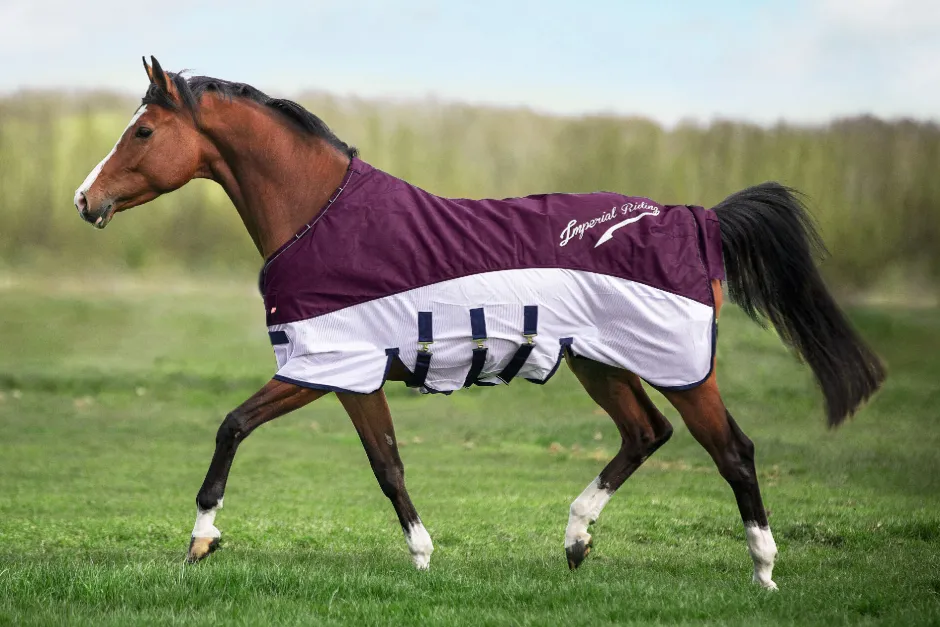 IMPERIAL RIDING Regen- & Fliegendecke IRHSuper-dry
