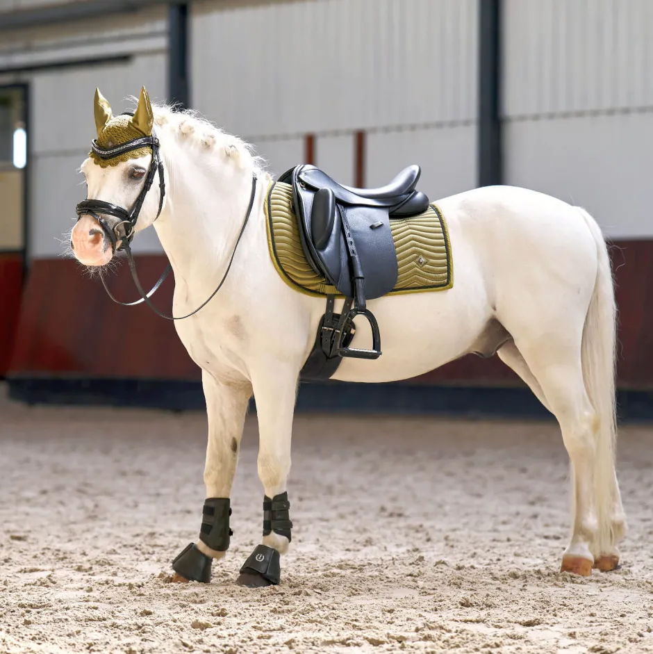 IMPERIAL RIDING Schabracke IRHRebel Dressur