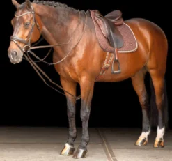 IMPERIAL RIDING Schlaufzügel SH IRHCore