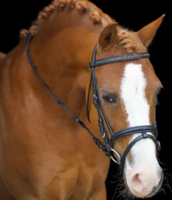 IMPERIAL RIDING SHETTY Trense IRHStormy