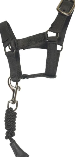 IMPERIAL RIDING Spielzeuge Satz Stall IRHPetit