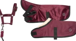 IMPERIAL RIDING Spielzeuge Satz Stall IRHPetit