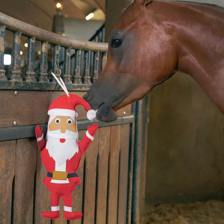 IMPERIAL RIDING Stable buddy IRHSanta