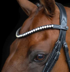 IMPERIAL RIDING Stirnriemen IRHMaxima