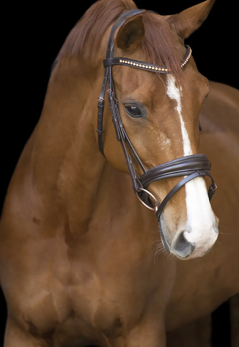 IMPERIAL RIDING Trense IRHFria