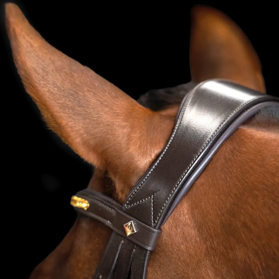 IMPERIAL RIDING Zaumzeug IRH einfache kombinierte Nasenriemen