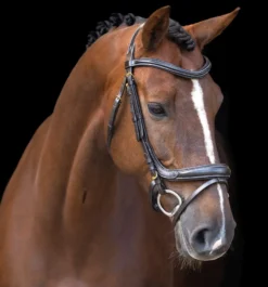 IMPERIAL RIDING Zaumzeug IRH mit gebogener englischer Nasenriemen