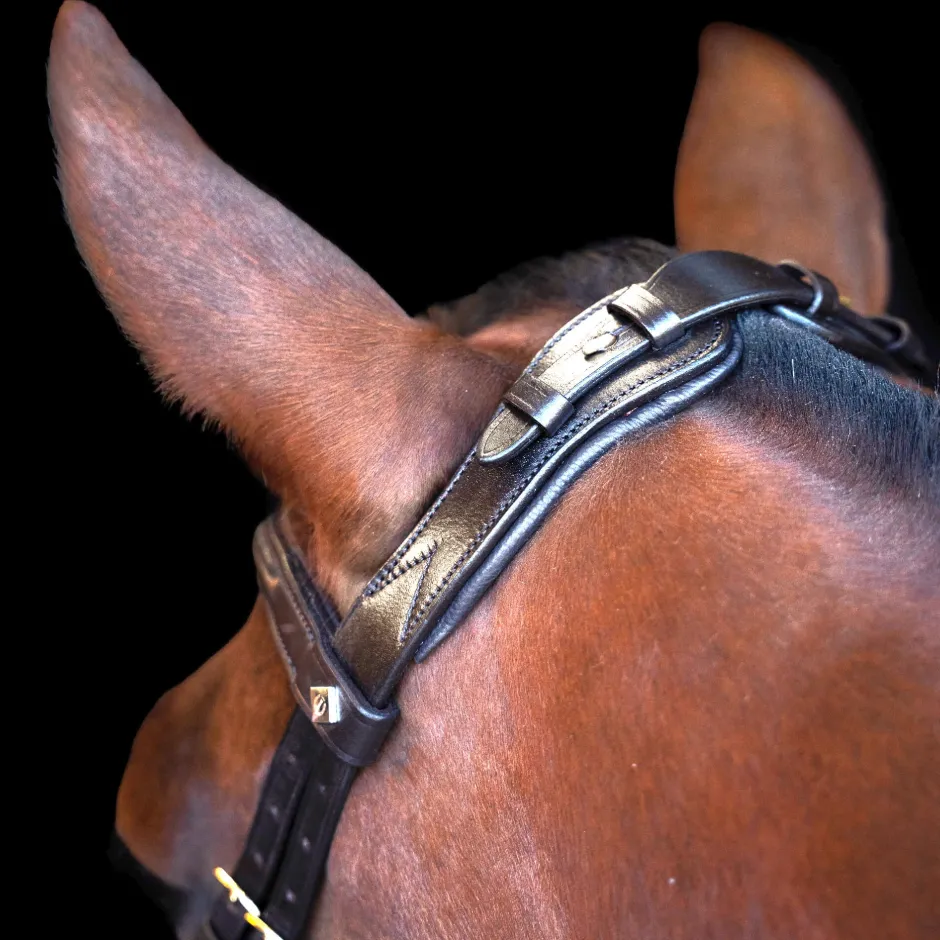 IMPERIAL RIDING Zaumzeug IRH mit ergonomischem hannoverschen Nasenriemen/Sperrriemen