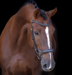 IMPERIAL RIDING Zaumzeug IRH mit ergonomischem hannoverschen Nasenriemen/Sperrriemen