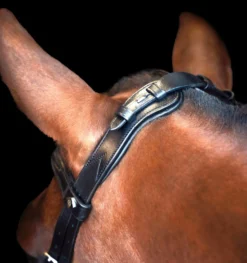 IMPERIAL RIDING Zaumzeug IRH mit ergonomischem hannoverschen Nasenriemen/Sperrriemen