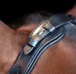 IMPERIAL RIDING Zaumzeug IRH mit ergonomischem hannoverschen Nasenriemen/Sperrriemen