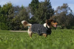 Je taime EQUITHÈME Hundedecke