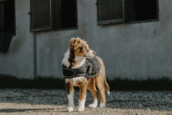 Je taime EQUITHÈME Hundedecke