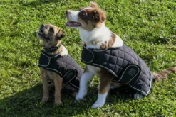 Je taime EQUITHÈME Hundedecke