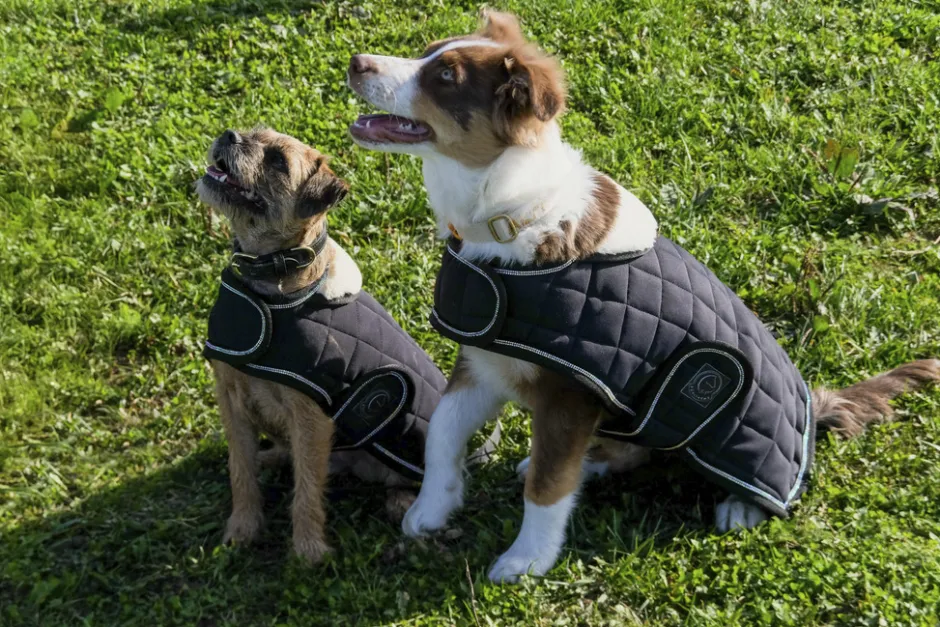 Je taime EQUITHÈME Hundedecke