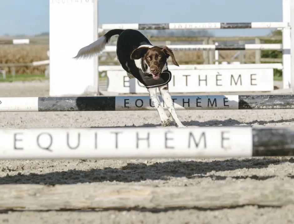 Je taime EQUITHÈME Hundedecke